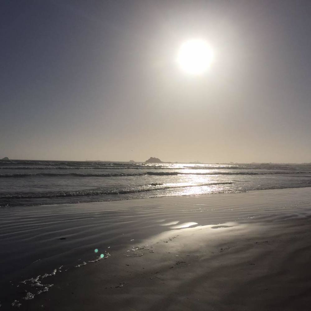 Meet your Posher, Allen